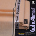 GuleAhmad Heritage - 252